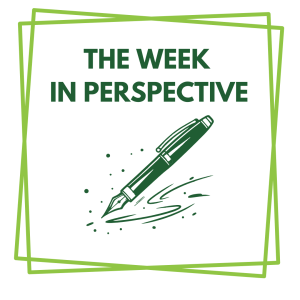 Drawing of a pencil with the header "The Week in Perspective"