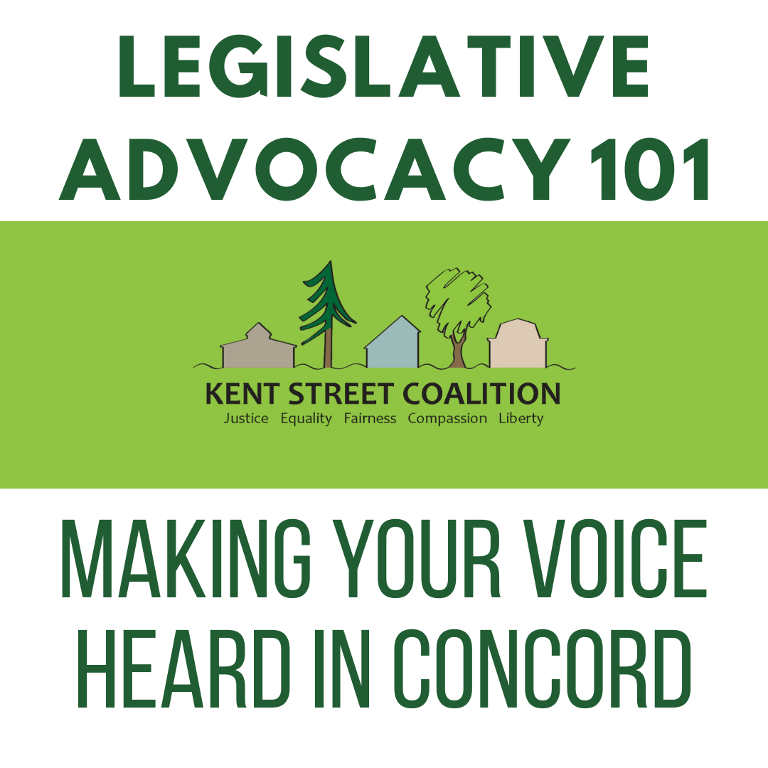 Legislative Advocacy 101