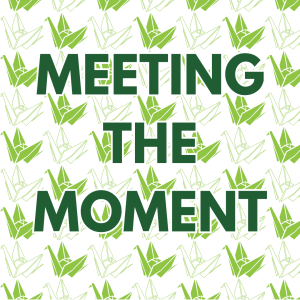 A pattern of green and white paper cranes behind text "Meeting the Moment"