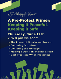 Blue flyer with text "A Pre Protest Primer: Keeping it Peaceful, Keeping it Safe."