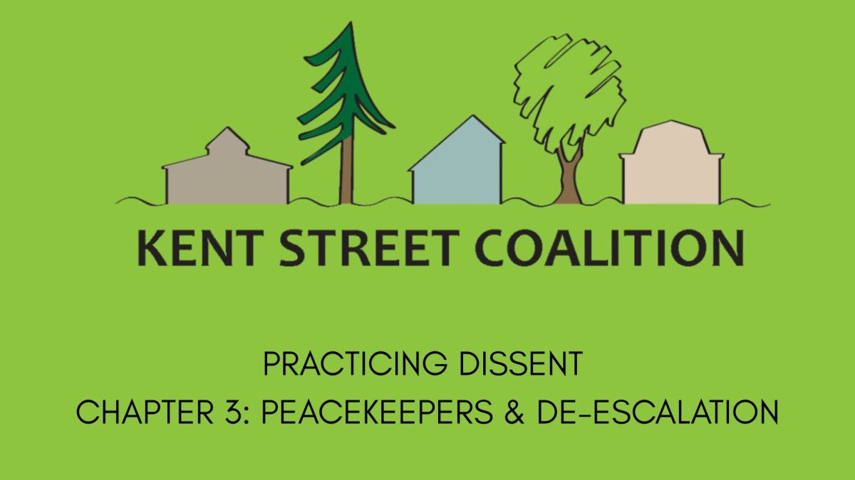 Practicing Dissent, Chapter 3: De-Escalation&nbsp;Practices