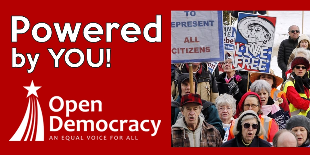 Protect New Hampshire&nbsp;Elections